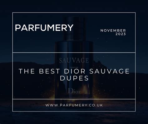 dior sauvage dupe amazon|dior sauvage alternative.